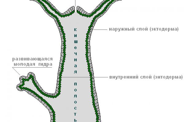 Kraken onion вход