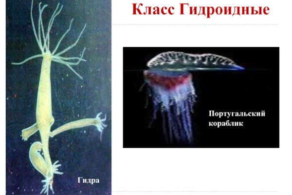 2krn at