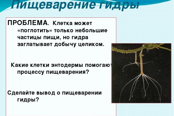Кракен телегрф